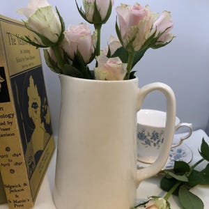 Könnte beinhalten: Eine cremefarbene Kanne gefüllt mit rosa Rosen. Die Kanne hat einen gebogenen Griff und einen breiten Boden. Ein Vintage-Buch mit goldfarbenen Buchstaben und eine blau-weiße Teetasse sind ebenfalls zu sehen. Die Rosen haben hellrosa Blütenblätter und grüne Stiele.