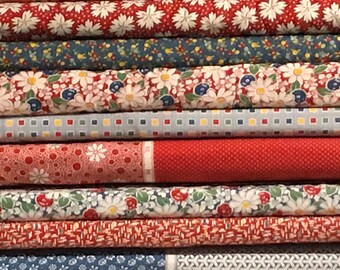 Red Play All Day Half Yard Fabric Bundle American Jane