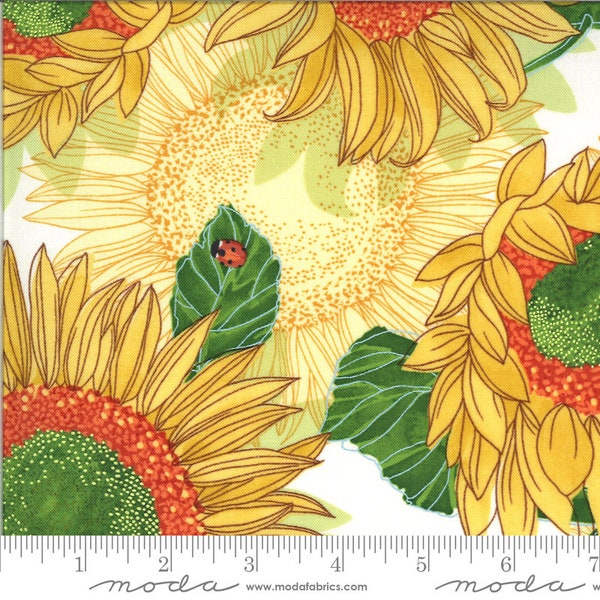 Cream Sunflowers Solana Fabric - 48680 11  - Moda - Robins Pickens