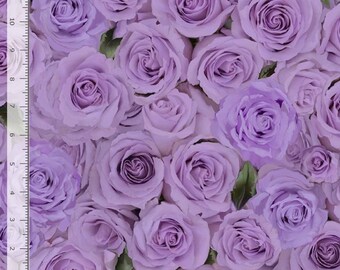 Purple Roses Love Letter Fabric - CD2370 - Timeless Treasures - By the Yard