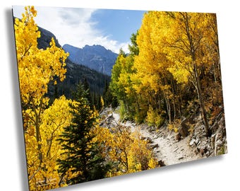 Horizontal Autumn Rocky Mountain National Park Colorado Landmark Fall Yellow Trees Canvas Metal Print Livingroom Bedroom Wall Art