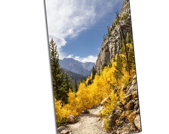 Vertical Autumn Rocky Mountain National Park Colorado Landmark Fall Yellow Trees Canvas Metal Print Livingroom Bedroom Wall Art