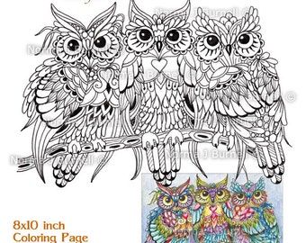 Owl Color Page Etsy