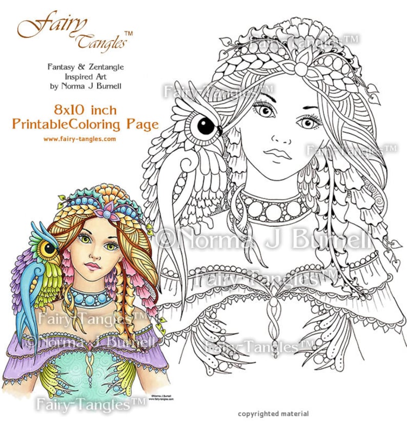 Fairy and Owl Printable Coloring book Sheets by Norma J Burnell Fairies to color Coloring Book Pages Fairies Owls Adult & Digital Coloring image 1