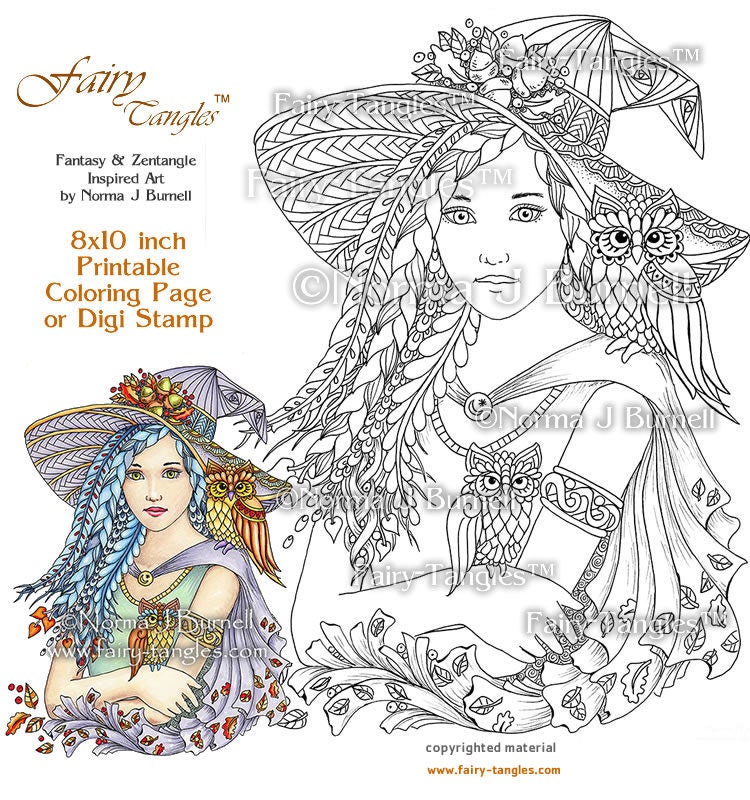 Witchy Woman & Owl Friends Fairy Tangles Printable Coloring Book Pages Adult Coloring Book Sheet