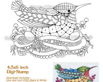 Broody Hummer 1 - Fairy Tangles Digital Stamp Zentangle Hummingbird for Cardmaking and Craft Projects by Norma J Burnell Printable Stamps
