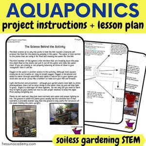 Parts of Speech Introduction and Review Activity