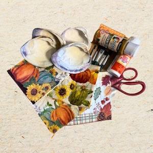 Decoupage Shell DIY Kit