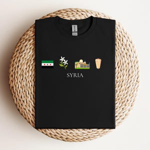 Syria Icons Adult Sweatshirt, Hoodie, T-Shirt Syria Flag Tee, Middle Eastern Graphic Shirt, Cultural Top, Syria Apparel, Syria Design