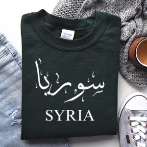 Syria Adult Sweatshirt, Hoodie, T-Shirt Syria Flag Tee, Middle Eastern Graphic Shirt, Cultural Top, Syria Apparel, Syria Design