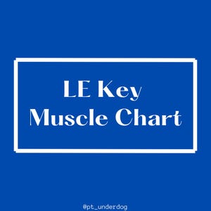 Lower Extremity Muscle Chart
