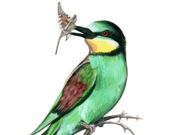 European Bee Eater 8x10 Archival Giclee Art Print Birdtober Series Bird Painting Colorful Artwork Ornithology Birding Birder Gift Wall Decor