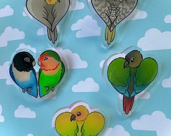 Kawaii birbs Cockatiel, Sun Conure, Green Cheek Conure, Lovebird Acrylic Glitter pin