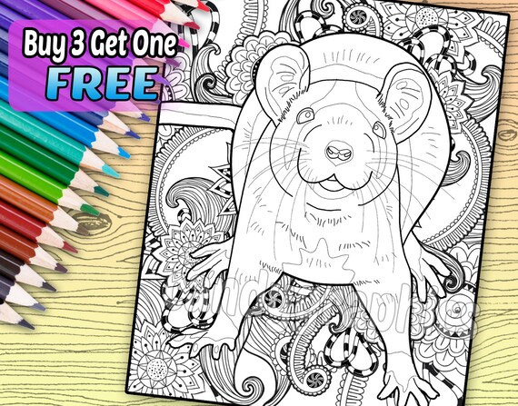 Download Regal Rat Adult Coloring Book Page Printable Instant Etsy