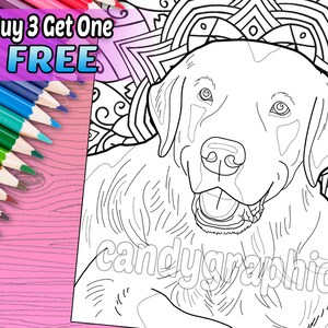 Labrador - Adult Coloring Book Page - Printable Instant Download