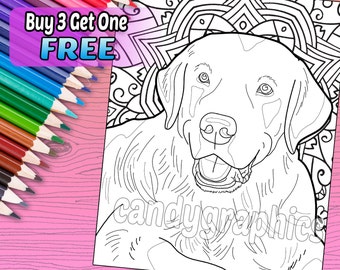 Labrador - Adult Coloring Book Page - Printable Instant Download