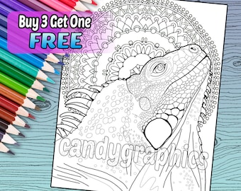 Iguana - Adult Coloring Book Page - Printable Instant Download