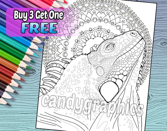 Iguana Adult Coloring Book Page Printable Instant Download Etsy