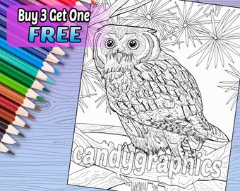 Owl - Adult Coloring Book Page - Printable Instant Download