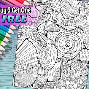 Conchas y estrellas de mar - página de libro de adulto para colorear - para imprimir descarga inmediata