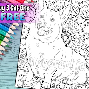 Cute Corgi - Adult Coloring Book Page - Printable Instant Download