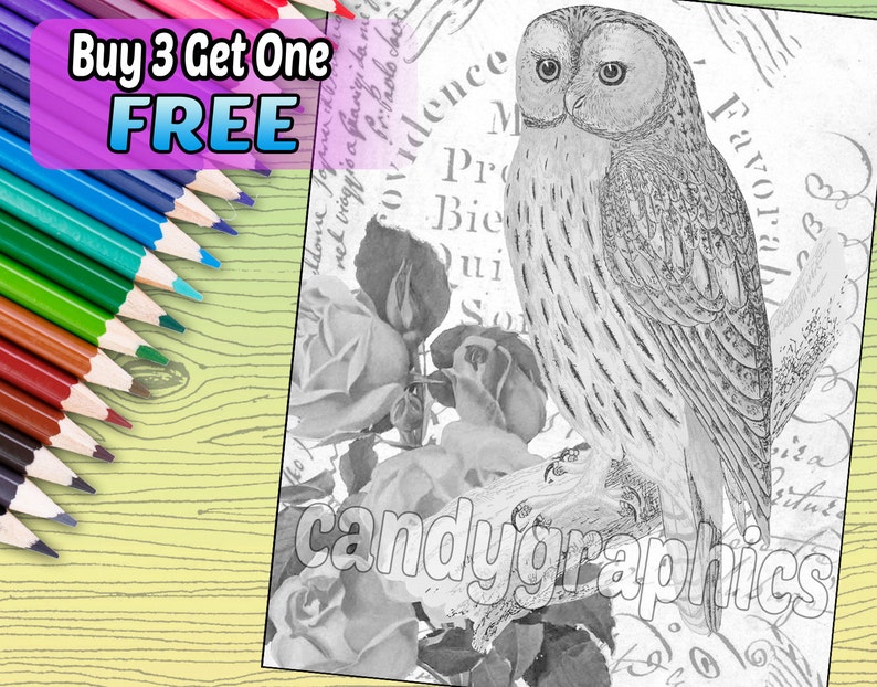 Grayscale Owl Adult Coloring Book Page Printable Instant Download image 1