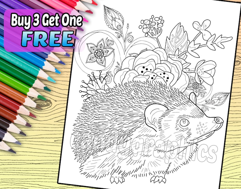 Adorable Hedgehog - Adult Coloring Book Page - Printable Instant ...