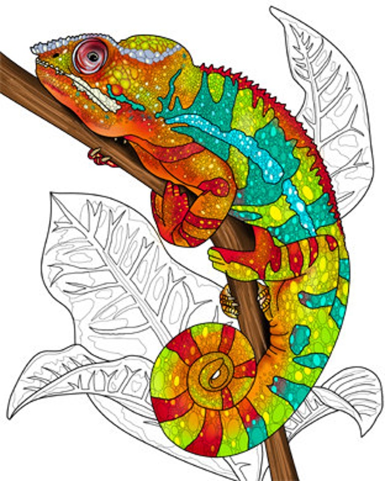 Relaxing Reptiles - Adult Coloring Book 32 Pages - Printable Instant ...