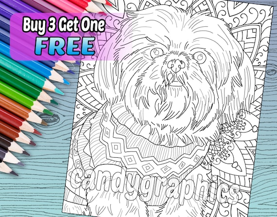 61 Top Coloring Pages Of Shih Tzu Dogs Images 61 Top Coloring Pages Of Shih Tzu Dogs Images