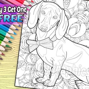 Dapper Dachshund - Adult Coloring Book Page - Printable Instant Download