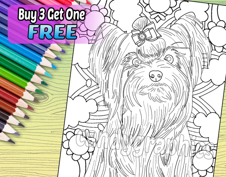yorkie adult coloring book page printable instant download etsy