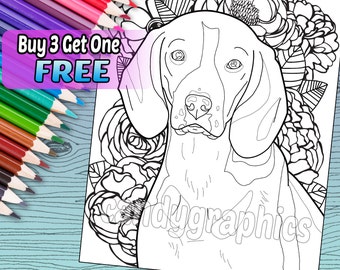 Beagle - Adult Coloring Book Page - Printable Instant Download