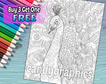 Peacock - Adult Coloring Book Page - Printable Instant Download