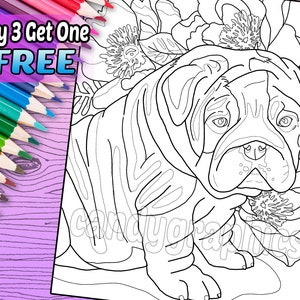 English Bulldog Puppy - Adult Coloring Book Page - Printable Instant Download