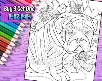 English Bulldog Puppy - Adult Coloring Book Page - Printable Instant Download