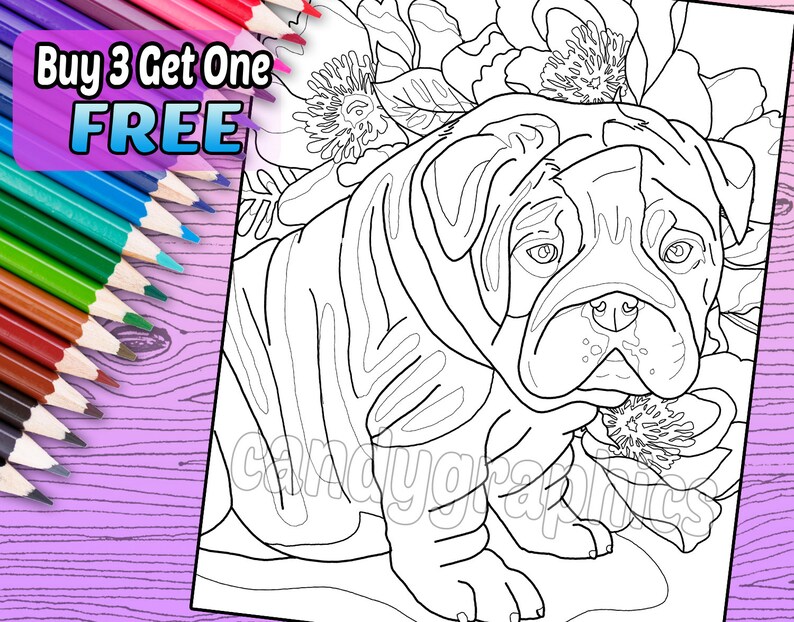 English Bulldog Puppy Adult Coloring Book Page Printable | Etsy