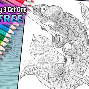 Cool Chameleon - Adult Coloring Book Page - Printable Instant Download