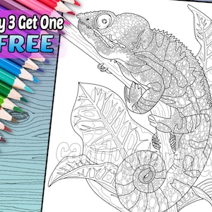 Cool Chameleon - Adult Coloring Book Page - Printable Instant Download