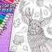 see more listings in the Wild Animal Coloring  section