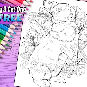 Beautiful Bunny - Adult Coloring Book Page - Printable Instant Download