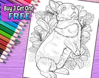 Beautiful Bunny - Adult Coloring Book Page - Printable Instant Download