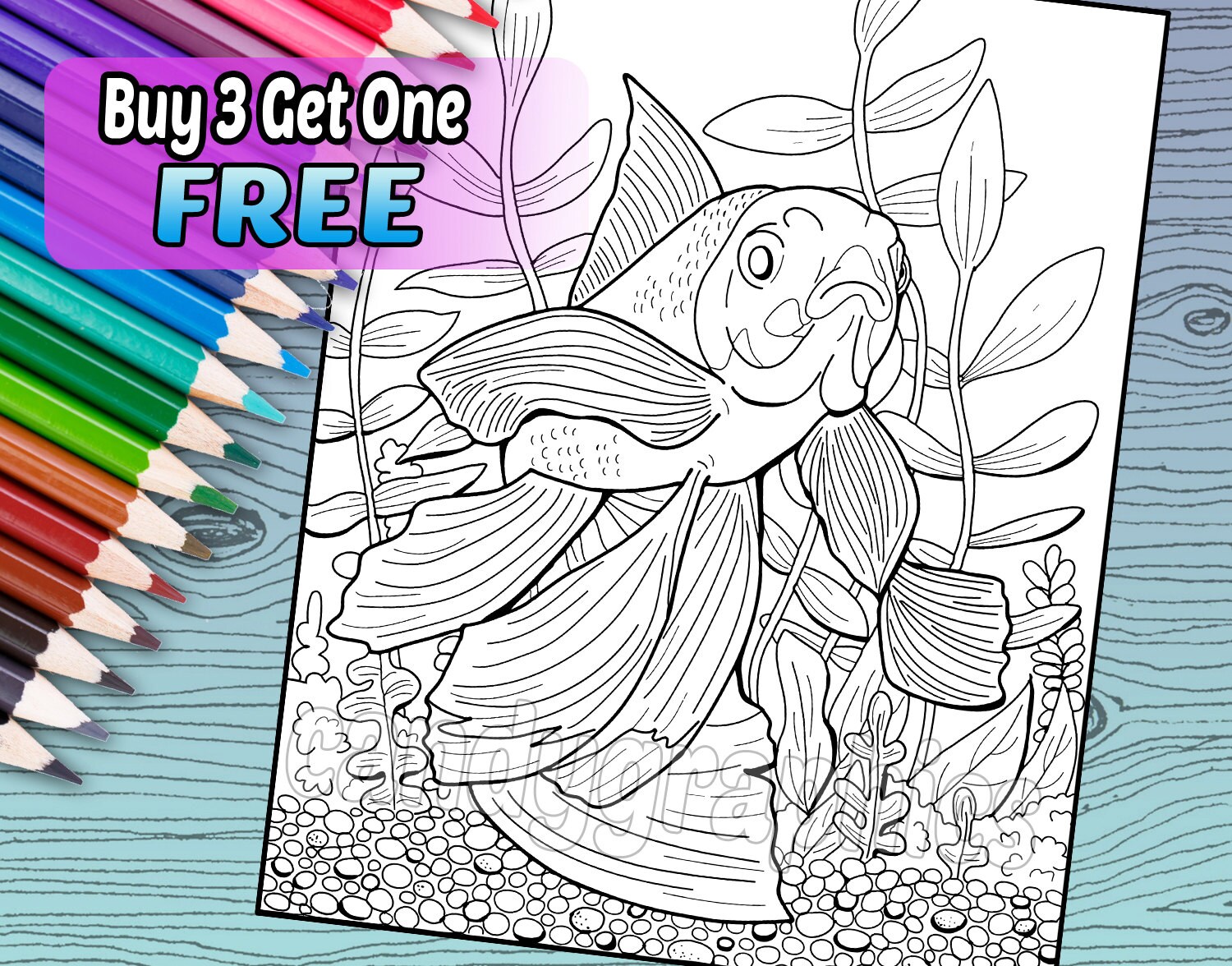 Download Goldfish Adult Coloring Book Page Printable Instant Etsy