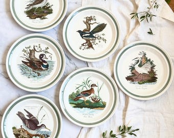 Highly Collectible Portmeirion Birds of Britain Dinner Plate 10.5” (26.5 cm), Susan Williams Ellis 1978, Vintage Bird Art and Decor