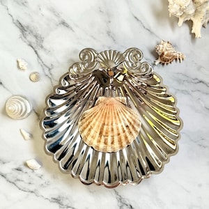 May include: A silver-colored, shell-shaped dish with a natural seashell inside. The dish has a scalloped edge and decorative swirls. Several other seashells are scattered around the dish on a marble surface.