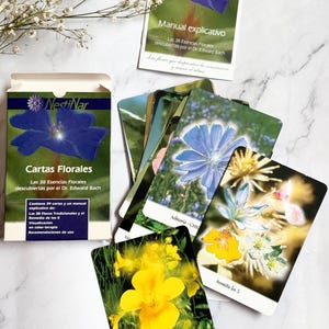 Paquete de cartas de adivinación con flores de Bach vintage de los años 2000: baraja completa publicada en España. Oráculo botánico para la autorreflexión.