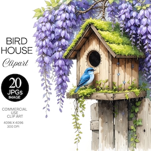 Birdhouse Clipart | Aquarela Floral Garden Bird Clip Art | Imagens JPEG de Beija-flor Bluebird Robin | Arte para impressão Download digital instantâneo