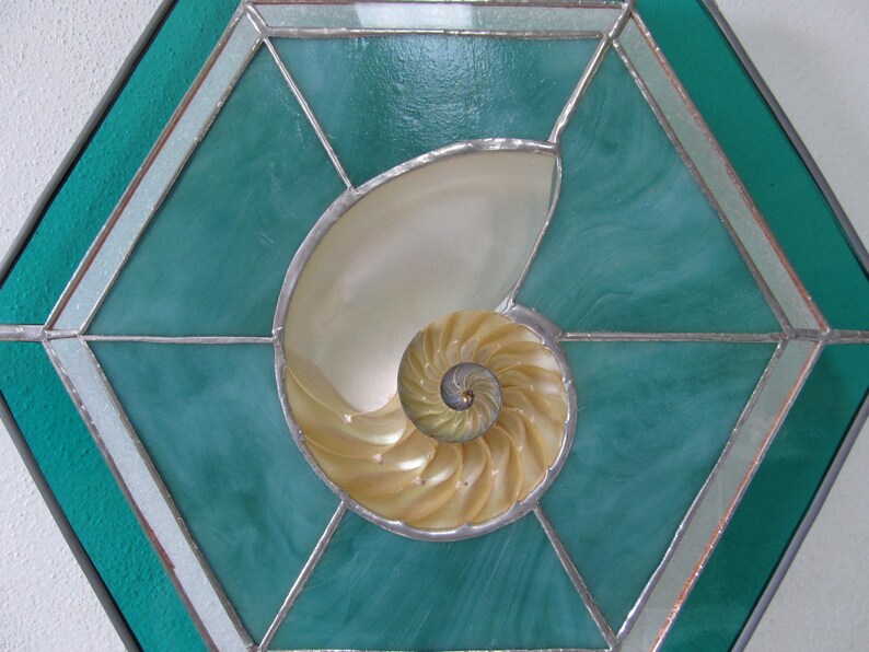 Jade Stained Glass with Large Sliced Nautilus Seashell