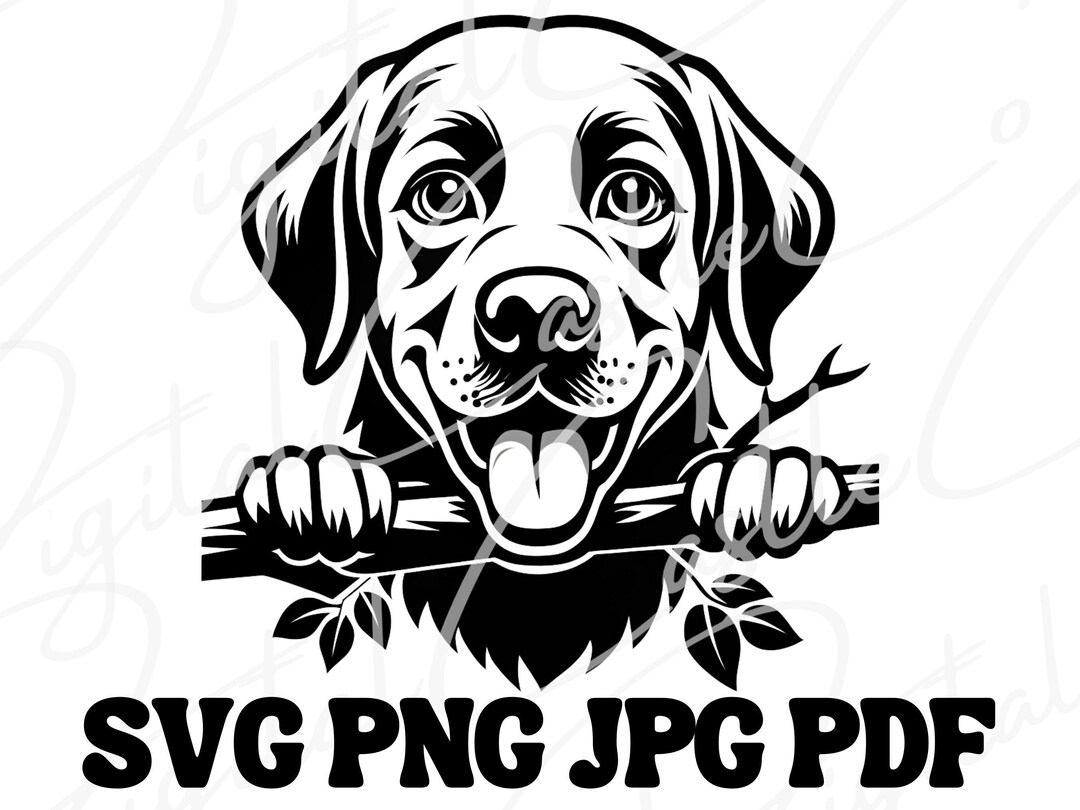 Labrador Dog Digital Download - SVG Cute Clipart Cricut Projects Vector ...