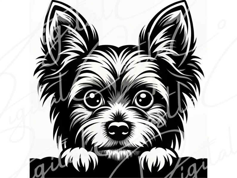 Yorkie Svg File Yorkie Dog Bundle SVG Digital Download - Clipart Cricut Projects Vector ...
