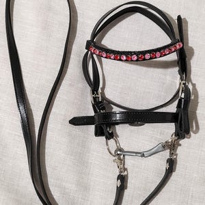 May include: A black leather horse bridle featuring a browband embellished with a row of alternating pink and red circular rhinestones. The bridle includes silver-toned metal buckles, a noseband, and a long black leather rein attached with metal clips.